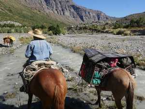 MSC 130W Solar on Mule in Chile MSC 130W Solar on Mule in Chile